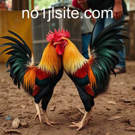 Exploring Sabong Games and the Influence of No1JL